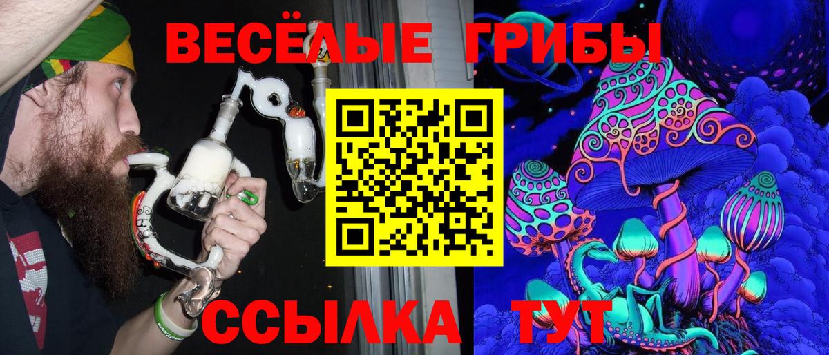 Приморско-Ахтарск  Галлюциногенные грибы GOLDEN TEACHER  как найти закладки  Вход с VPN 