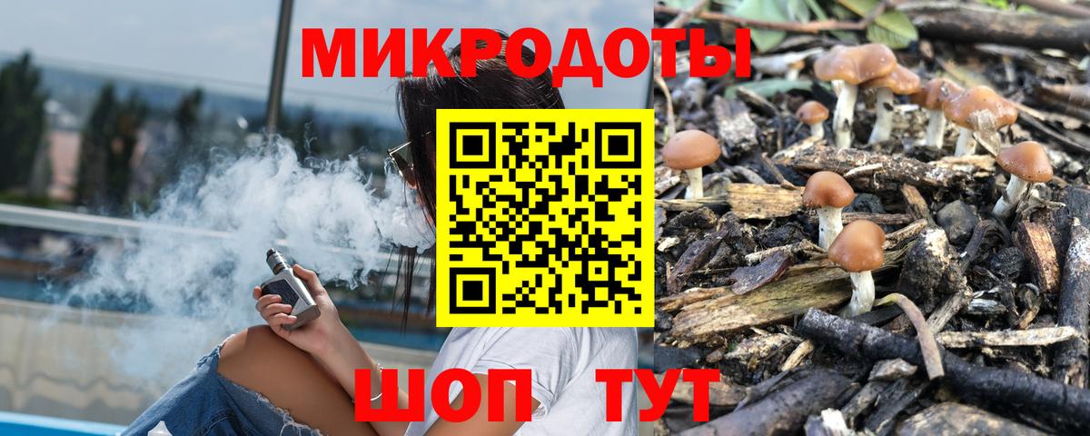 Псилоцибиновые грибы Psilocybine cubensis Приморско-Ахтарск